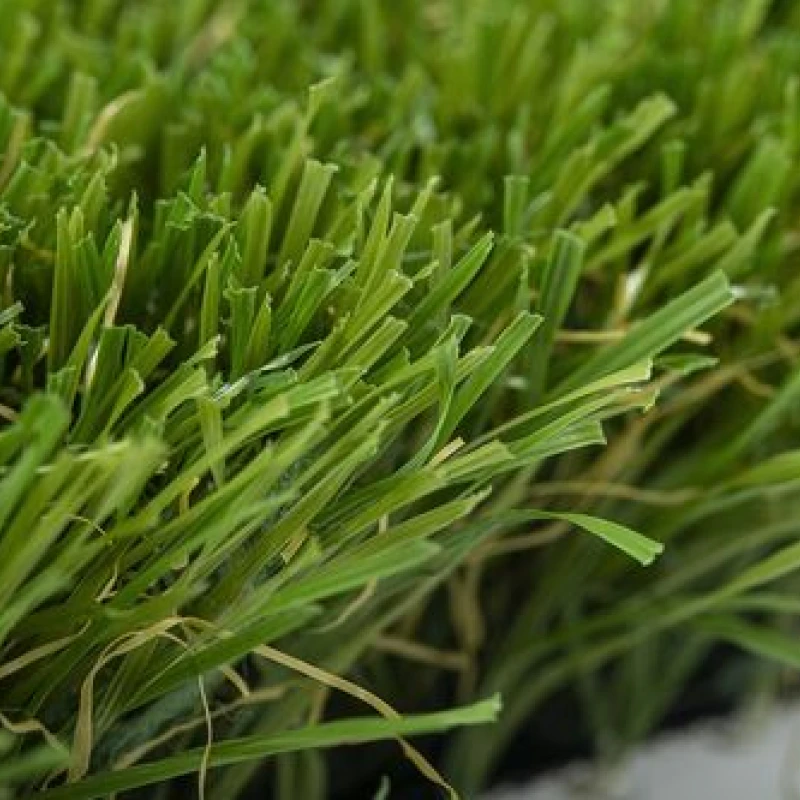 Yalena Verdite Monobacking photo1